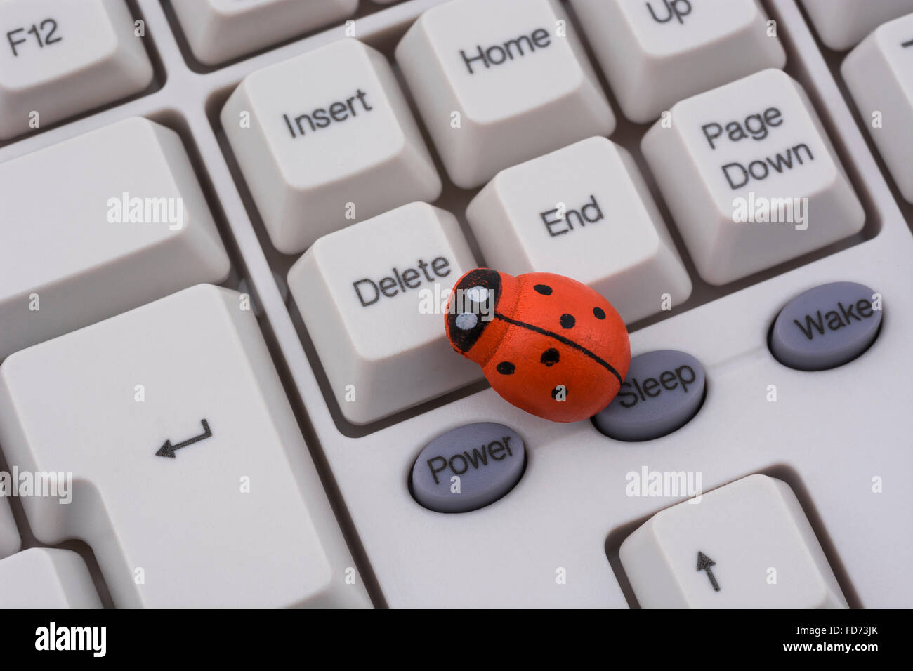 Ladybird / ladybug on PC keyboard - as a visual metaphor for the concept of 'computer bug' or viral / system 'infection'. Stock Photo