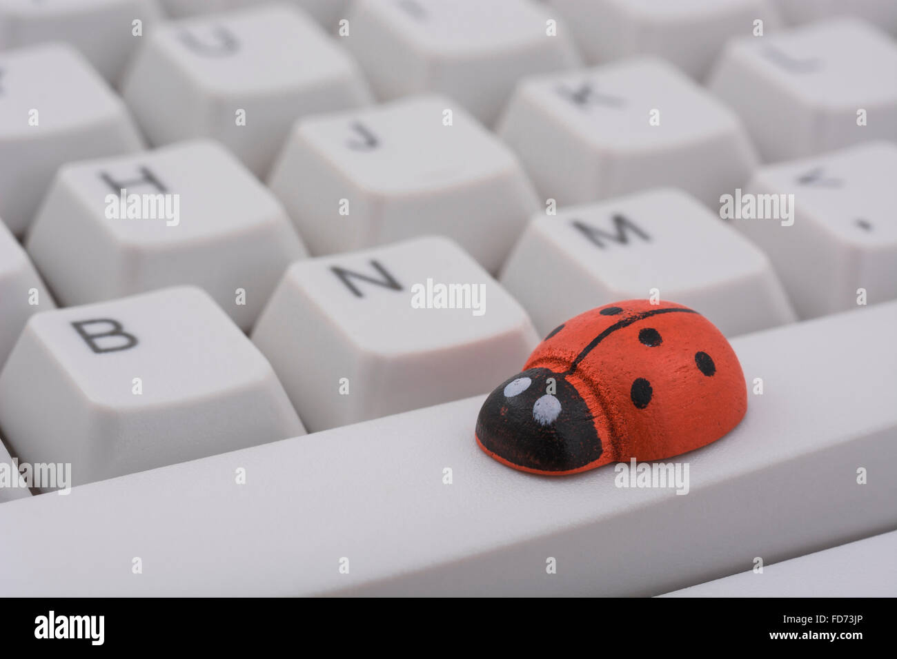 Ladybirds / ladybugs on PC keyboard - as a visual metaphor for the concept of 'computer bug' or viral / system 'infection'. Stock Photo