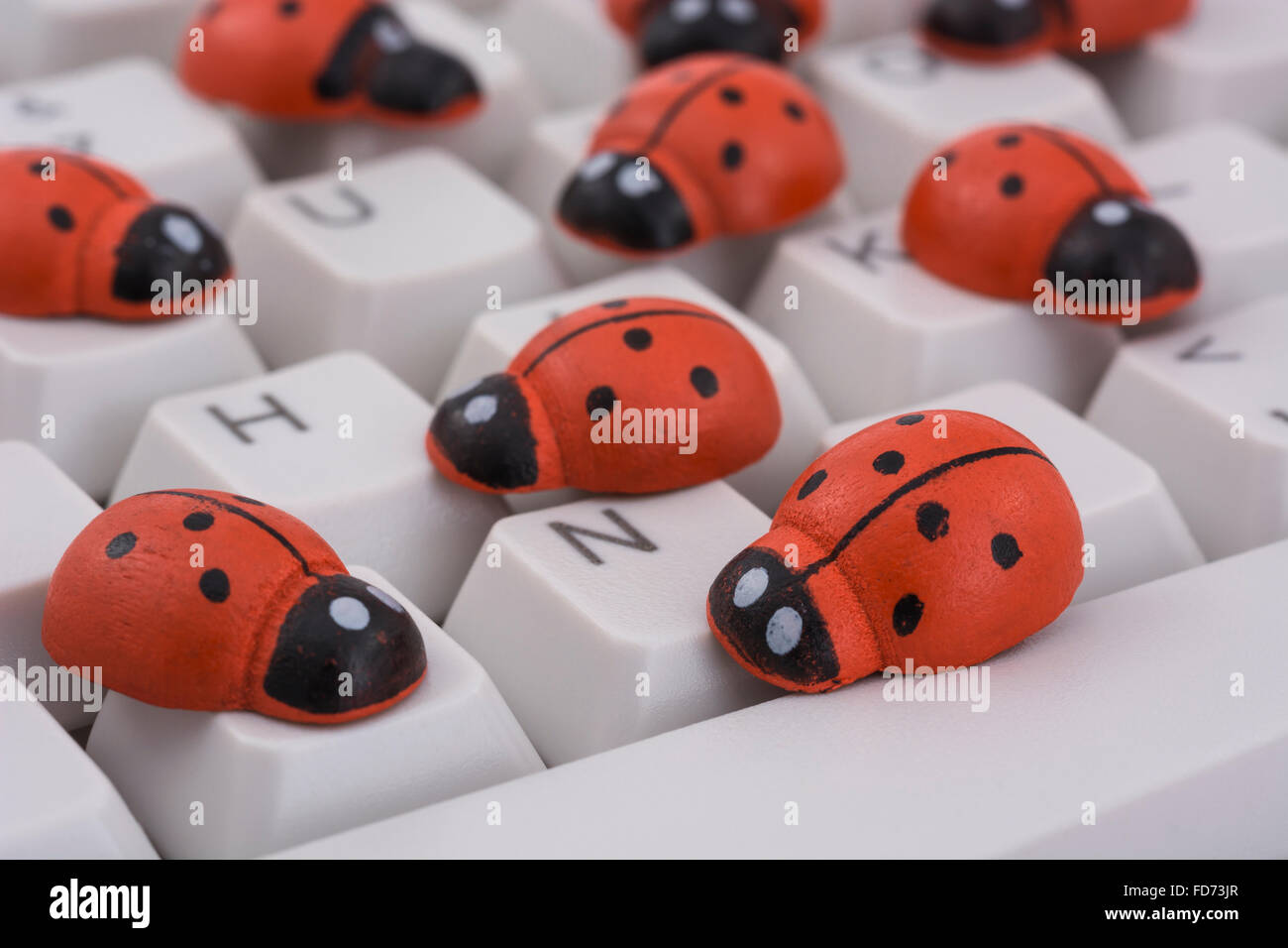 Ladybirds / ladybugs on PC keyboard - as a visual metaphor for the concept of 'computer bug' or viral / system 'infection'. Stock Photo