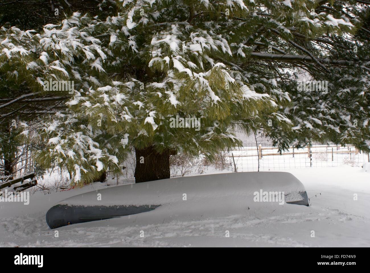 Winter snow photo of trees with a wooden fence in the back ground and a canoe under the tree covered in snow. Stock Photo