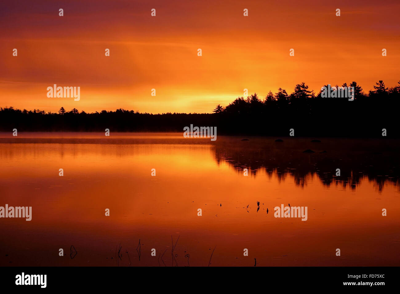red sunrise color on a Nova Scotia lake, Canada Stock Photo
