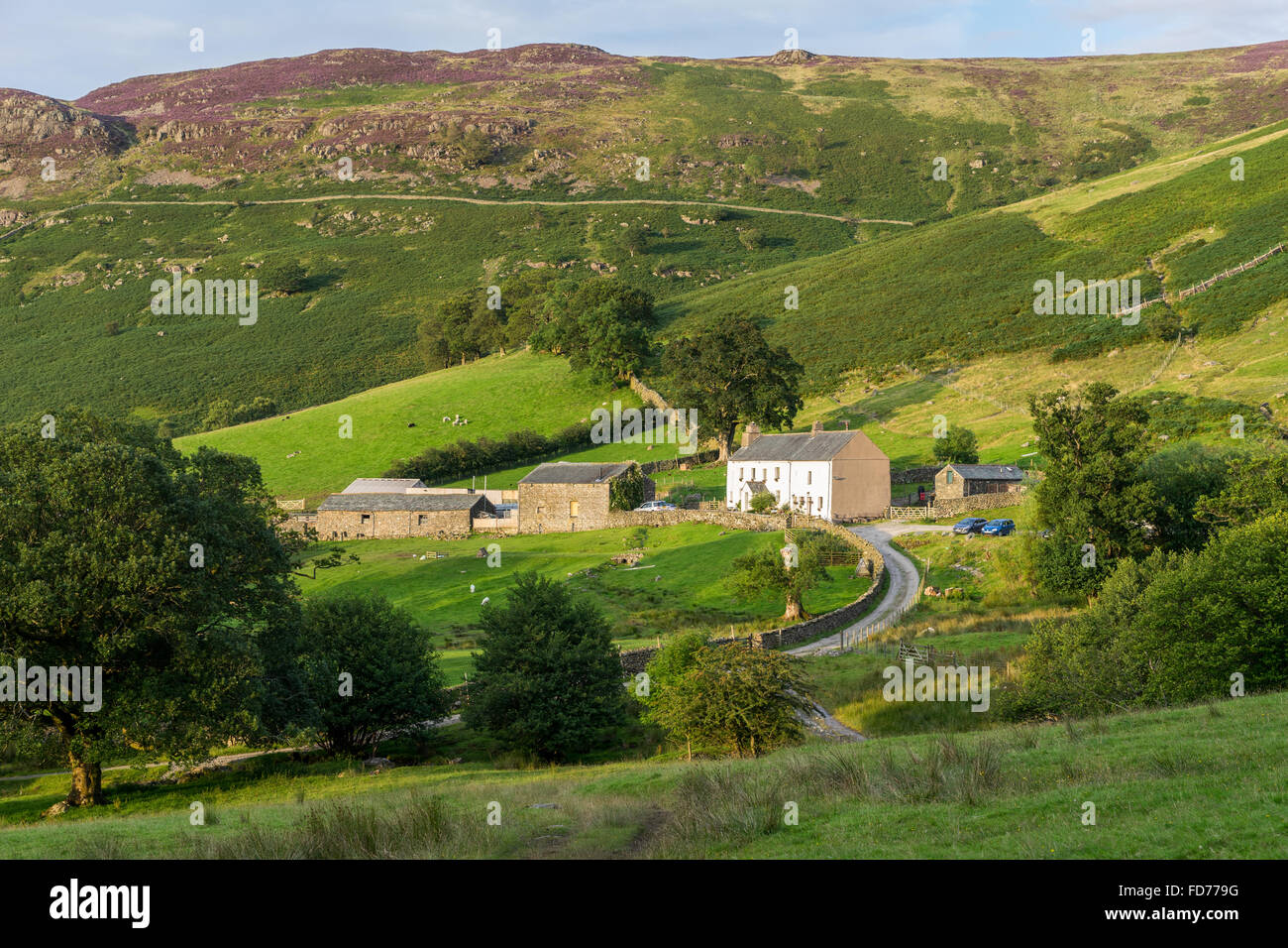 Farm near Keswick Stock Photo Alamy