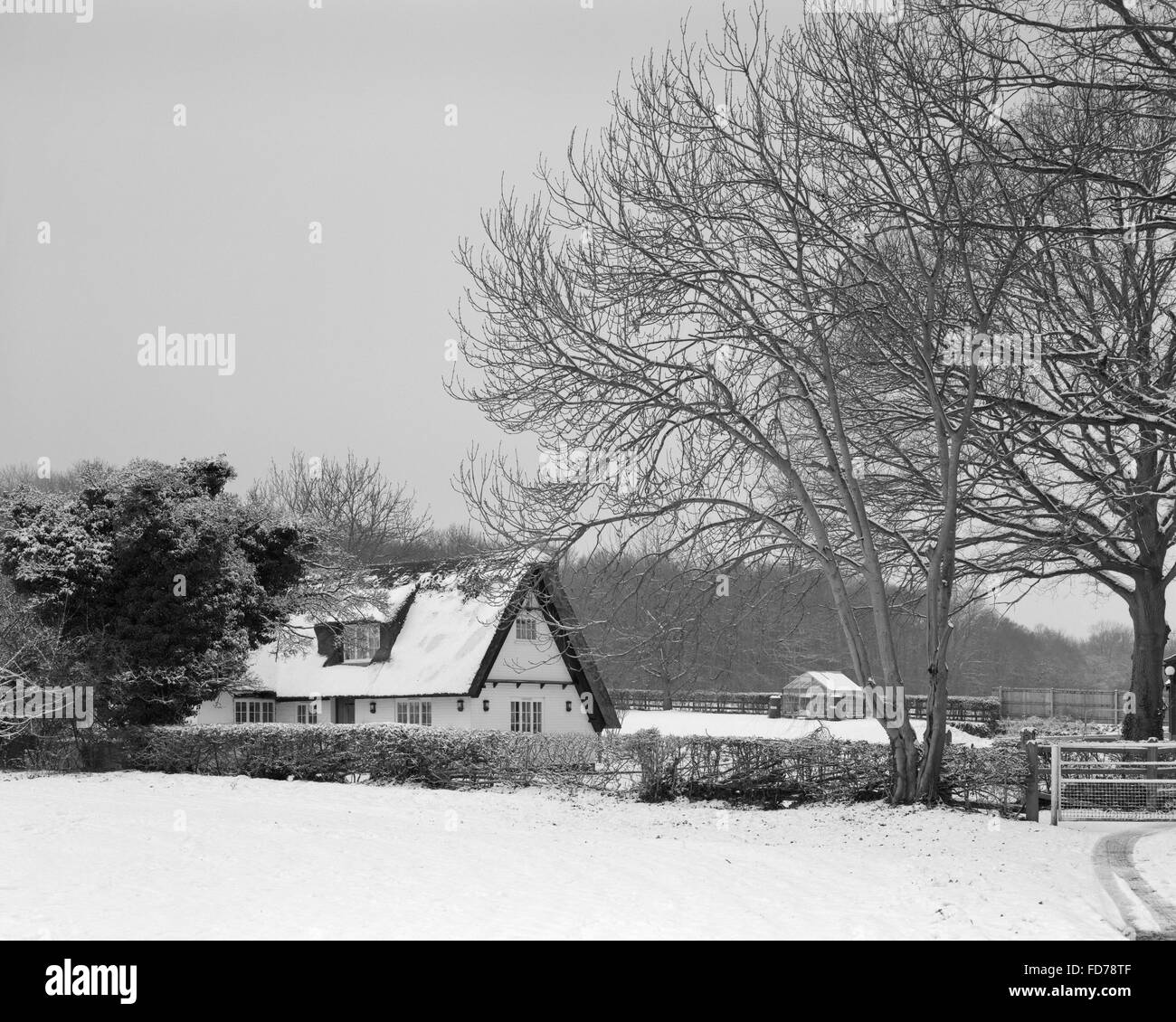 Hayfield Cottage Great Gransden Cambridgeshire in snow Stock Photo