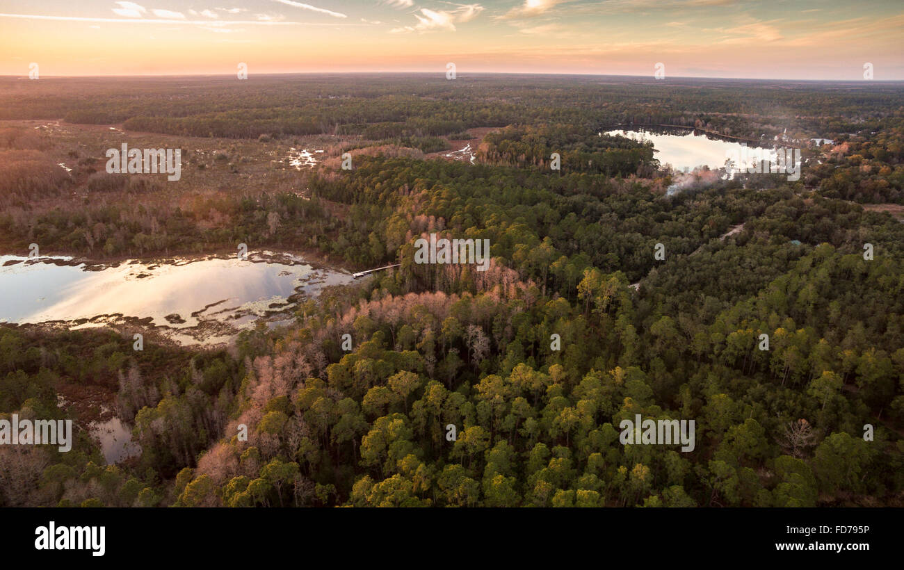 Aerial view of Church Lake area, Ocala National Forest, FL Stock Photo