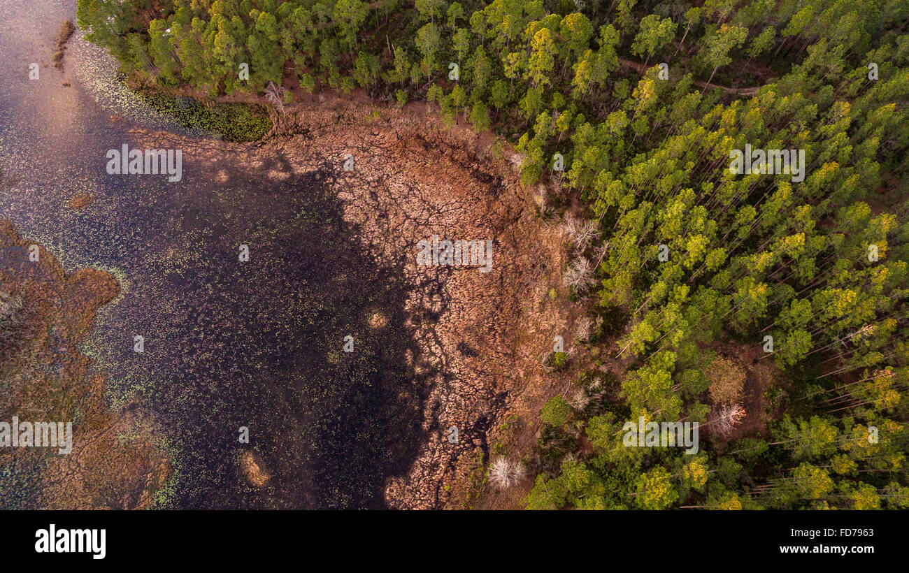 Overhead scenic of Church Lake Prairie, Ocala National Forest, FL Stock Photo