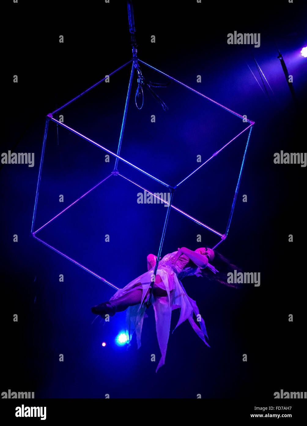 Alina Eskina performs on the Aerial cube at the Netherlands national circus Stock Photo