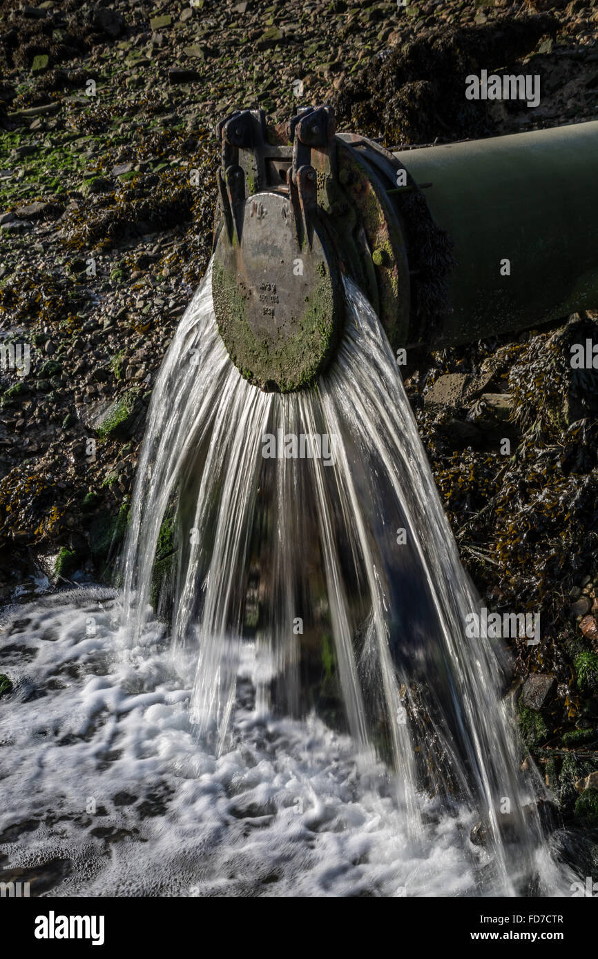 Waste water flows out of an outflow waste water pipe into the river in Devon UK Stock Photo