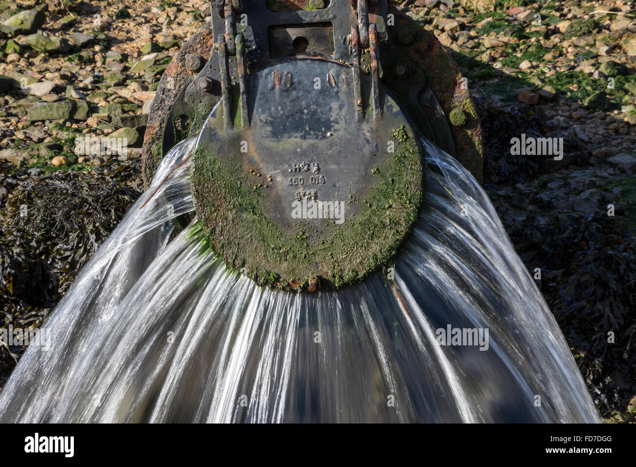 Waste water flows out of an outflow waste water pipe into the river in Devon UK Stock Photo