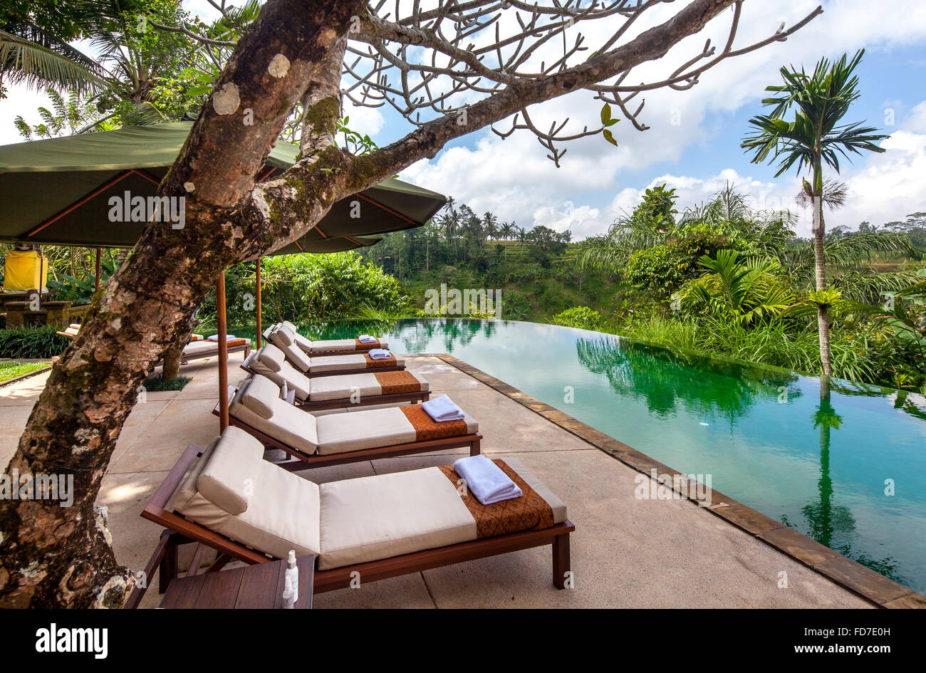 Hotel resort with pool and palm trees, Ubud, Bali, Indonesia, Asia Stock Photo