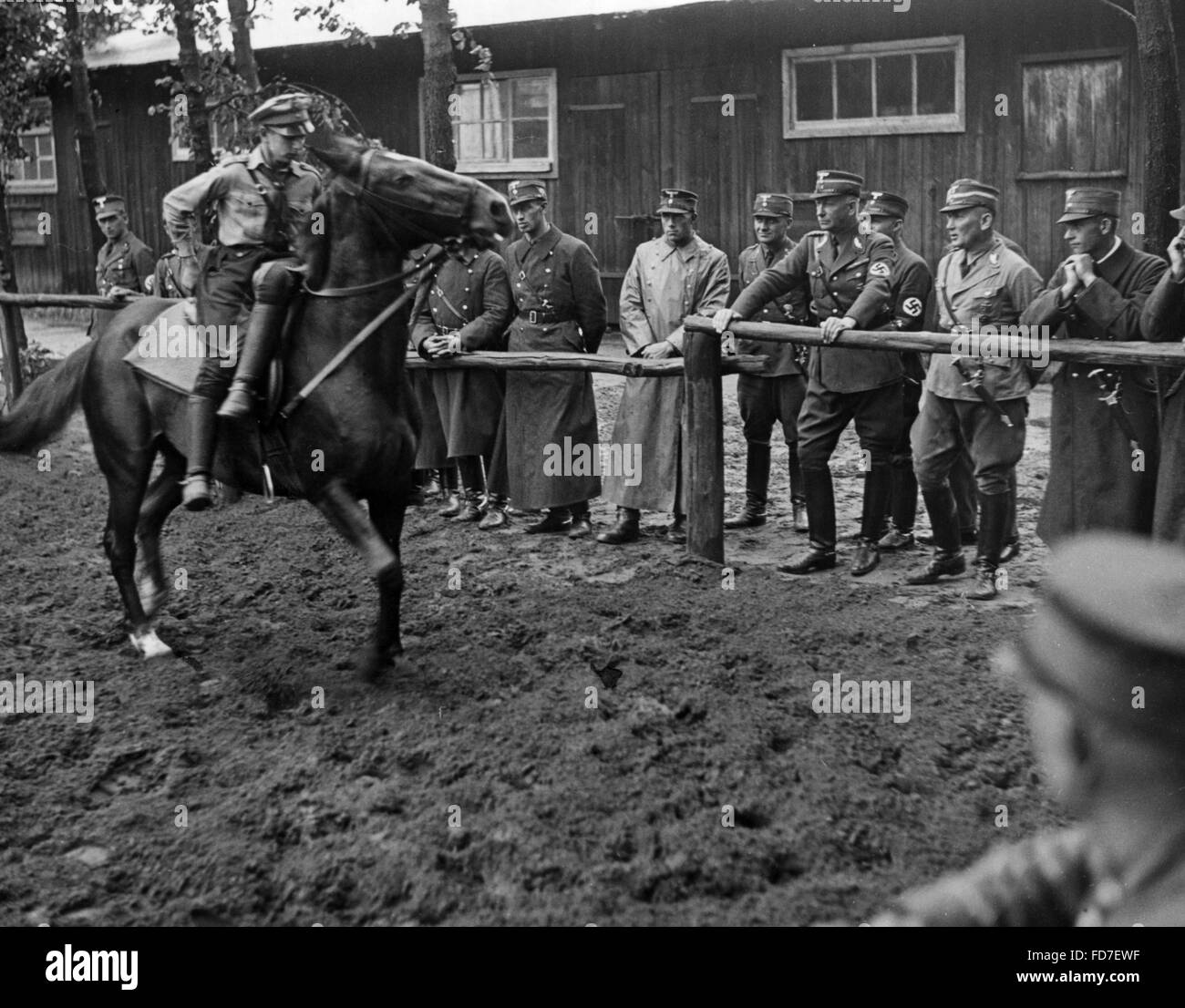 Max Lehmann and Standartenfuehrer von Schwerin at a horse show, 1938 Stock Photo