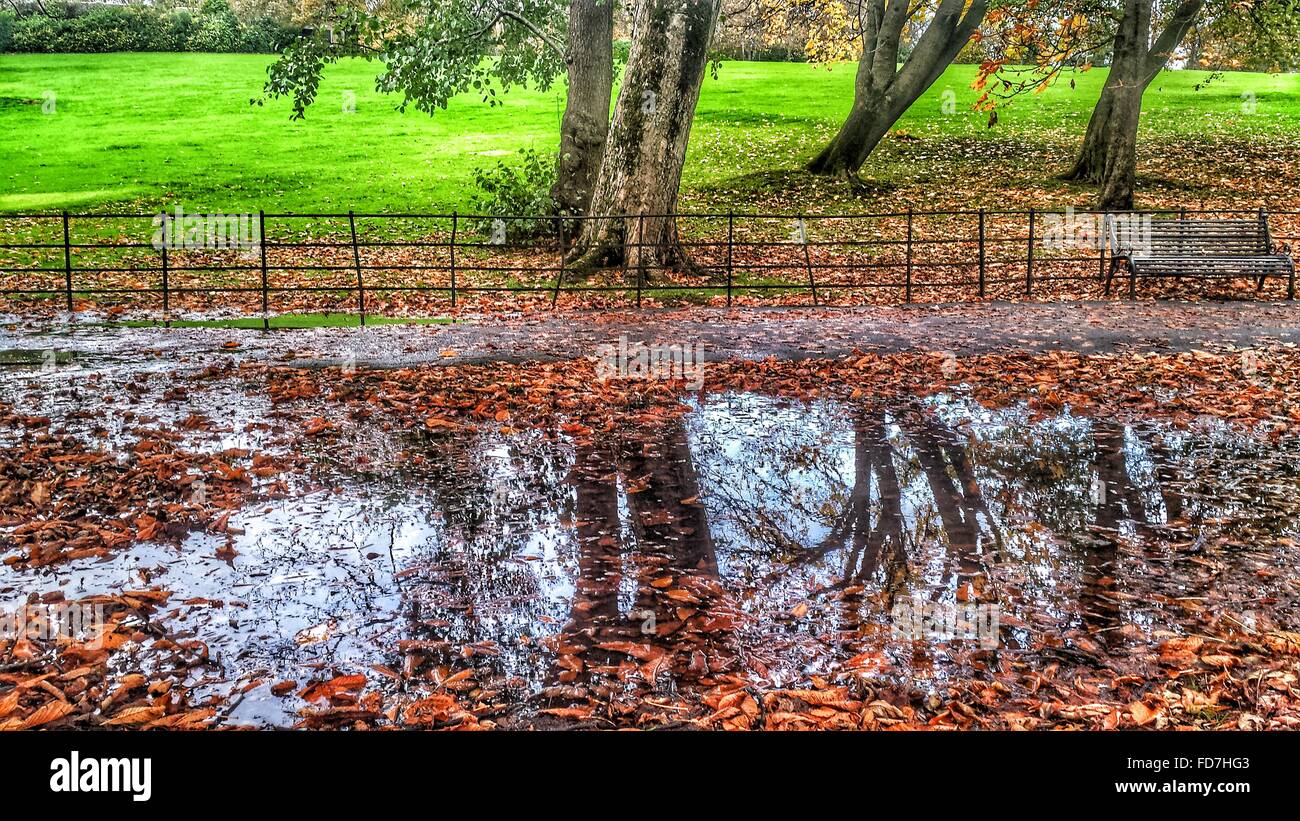 Glasgow Puddle High Resolution Stock Photography and Images - Alamy