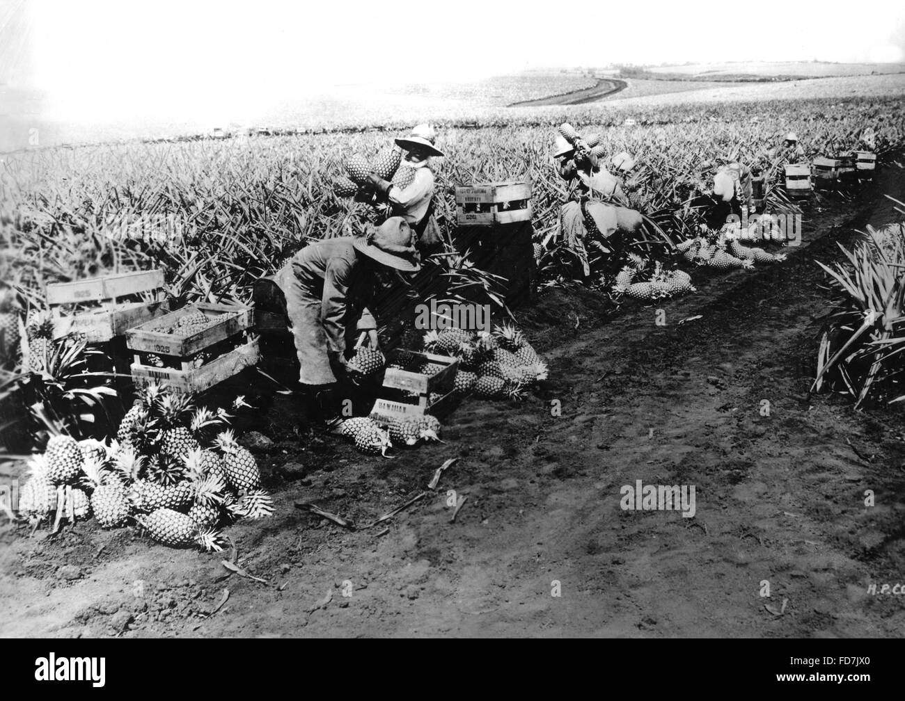 01 01 1928 31 12 1928 hires stock photography and images Alamy