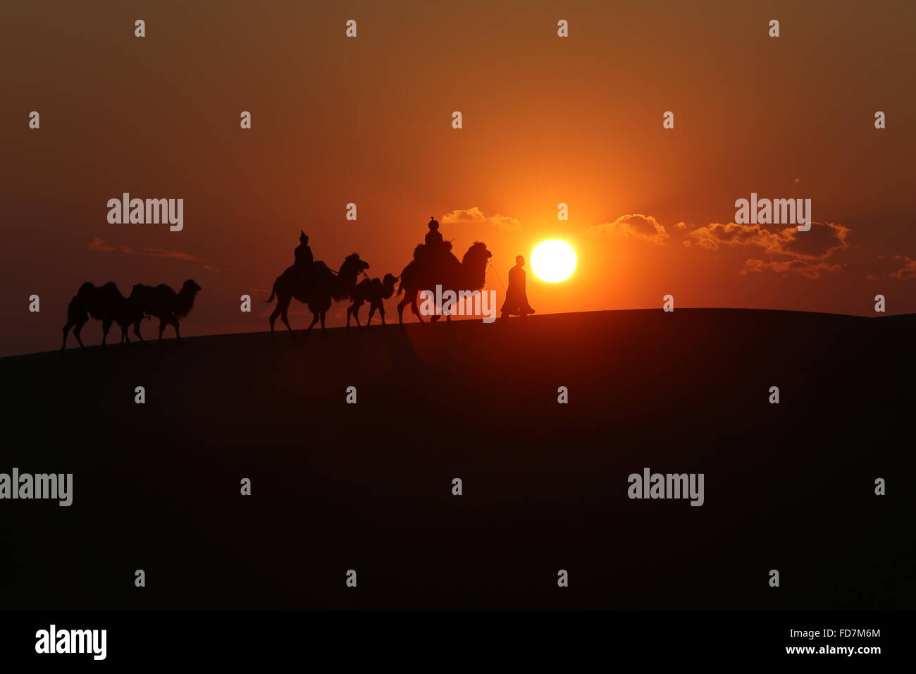 Desert Naiman Banner Tongliao City Inner Mongolia Autonomous Region