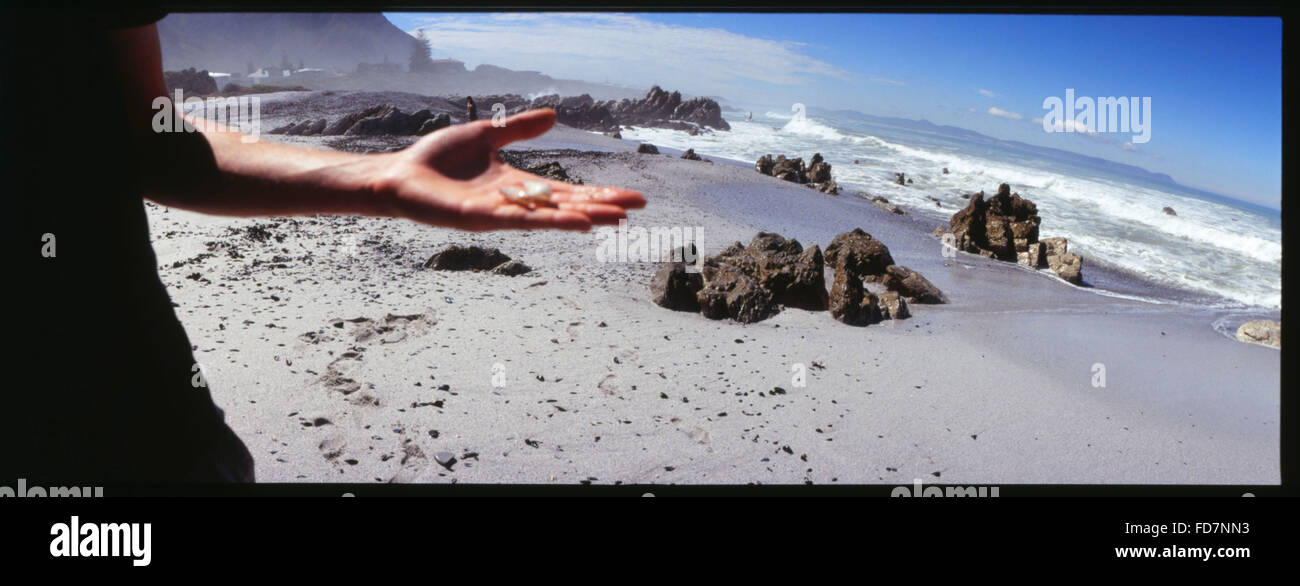 Midsection Of Man Holding Shell At Beach Stock Photo