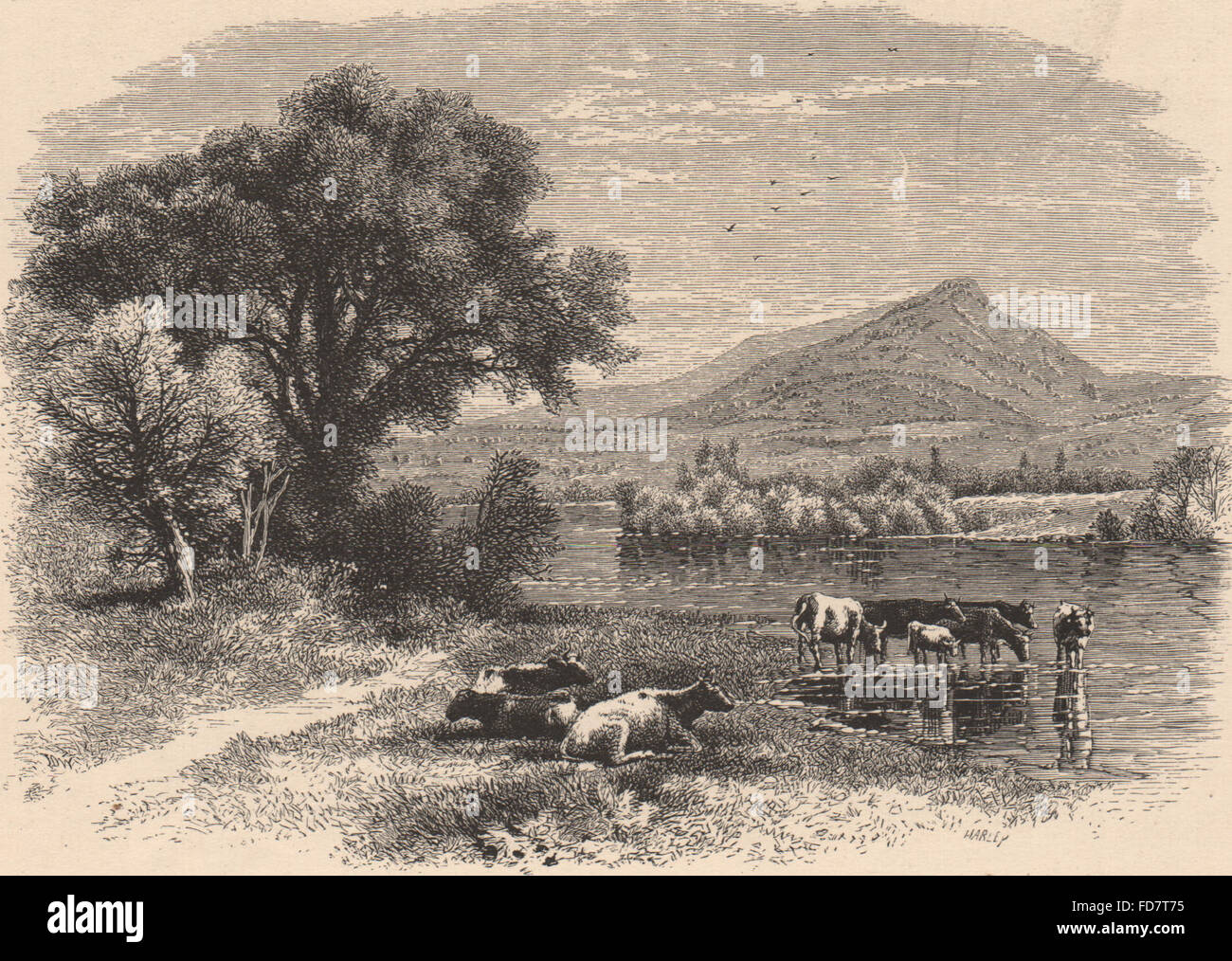 VERMONT: Moose Hillock, from Newbury Meadows, antique print 1874 Stock Photo