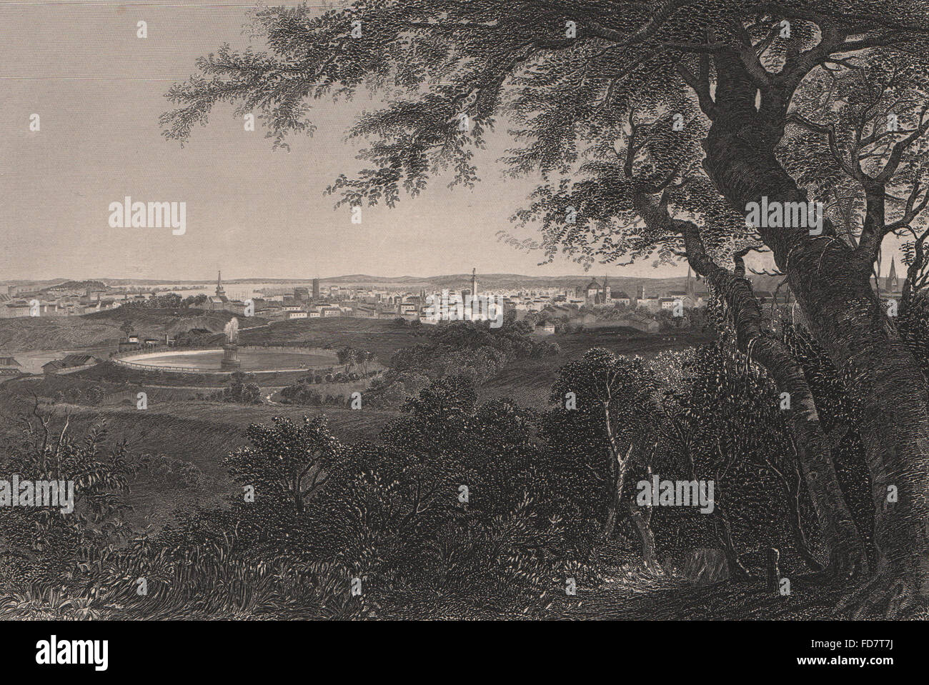 BALTIMORE: View of the city from Druid Hill park. Maryland, antique print 1874 Stock Photo