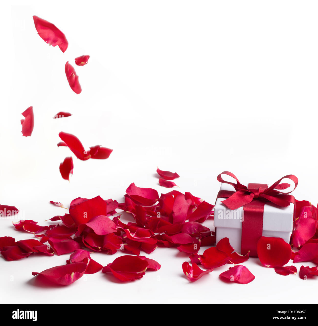 Red roses and gift box on white background,Valentines day concept. Stock Photo