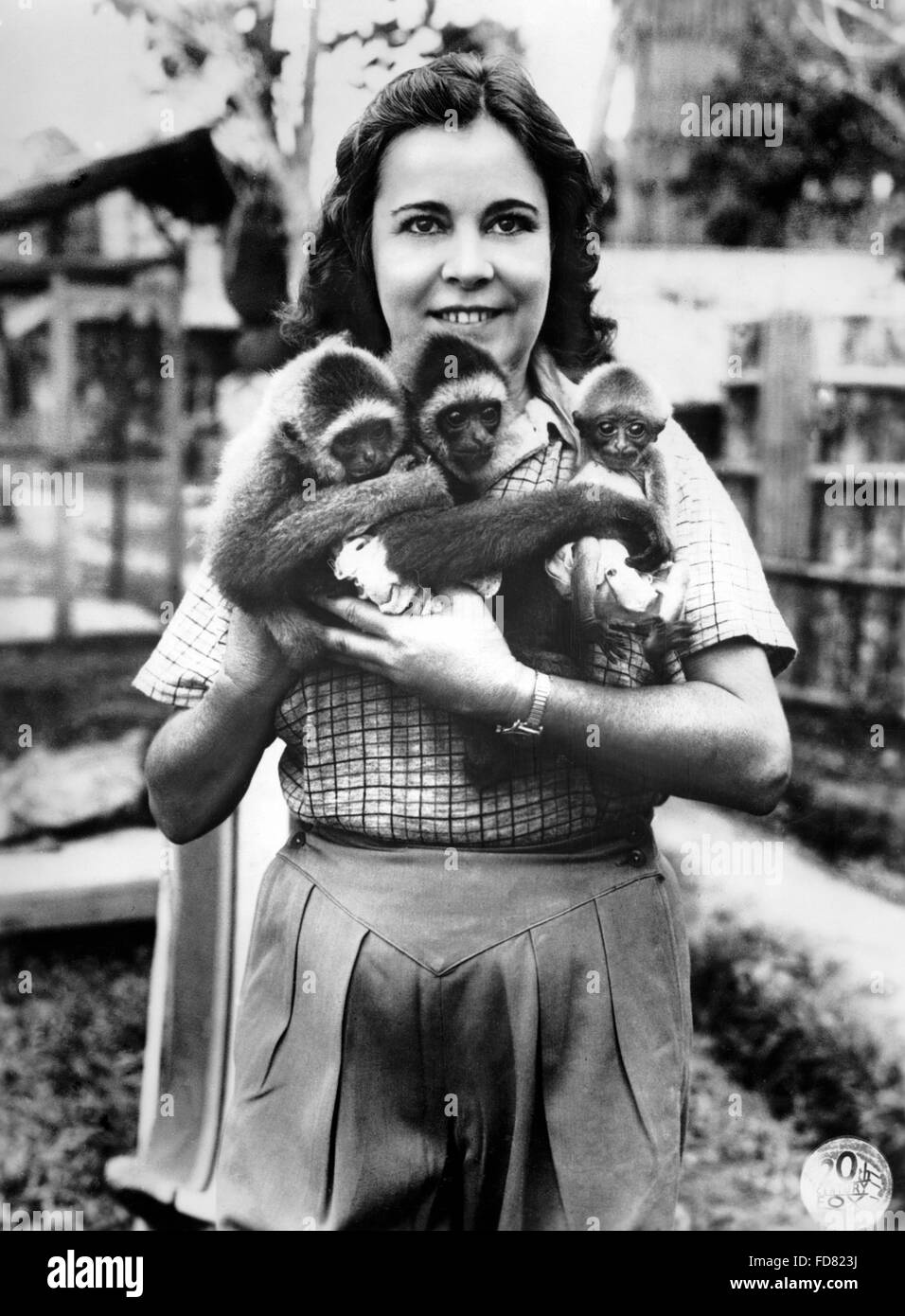 Osa Johnson with monkeys, 1937 Stock Photo