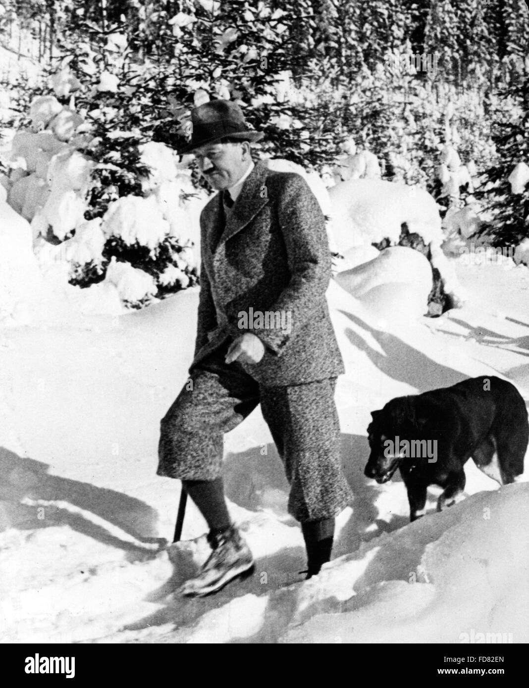 Adolf Hitler with his dog Stock Photo