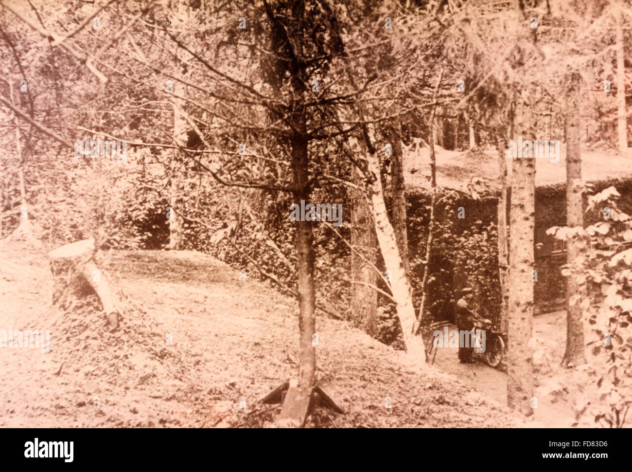 Führer headquarters Wolf's Lair, 1943 Stock Photo Alamy