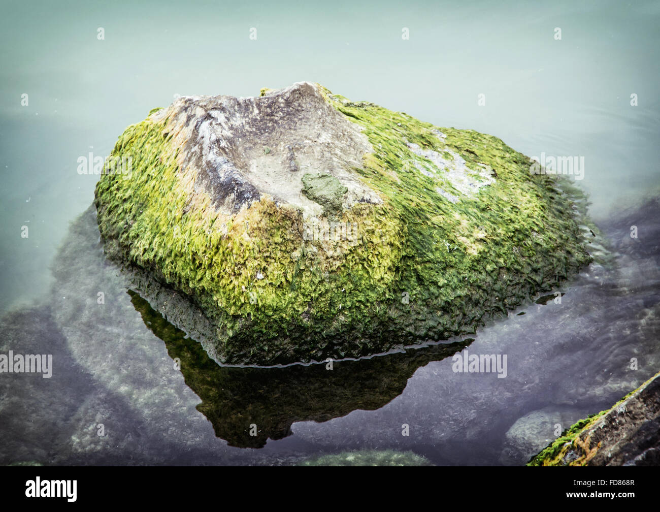 Pond weed clearing hi-res stock photography and images - Alamy