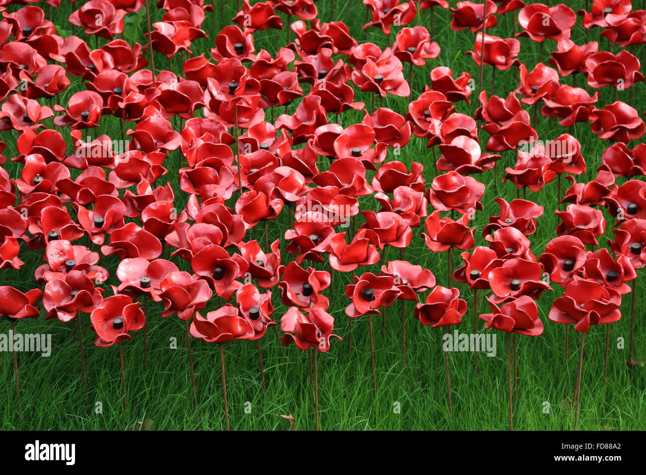 ceramic poppies in front of tower of London Stock Photo