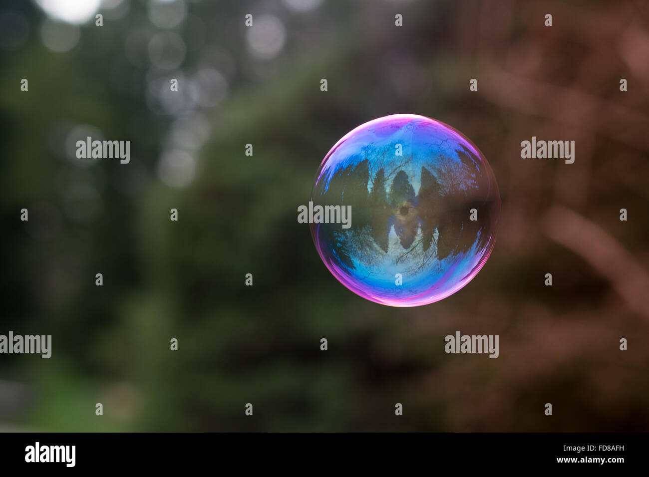 Bubble Floating In Air Stock Photo Alamy