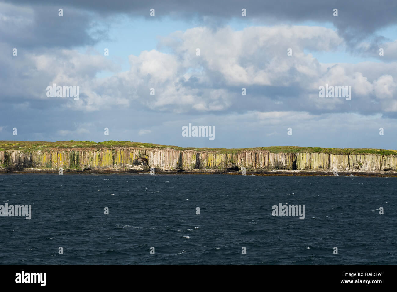 New Zealand, Auckland Islands, uninhabited archipelago in the south Pacific Ocean. Southern Ocean view of the cliffs at Enderby. Stock Photo