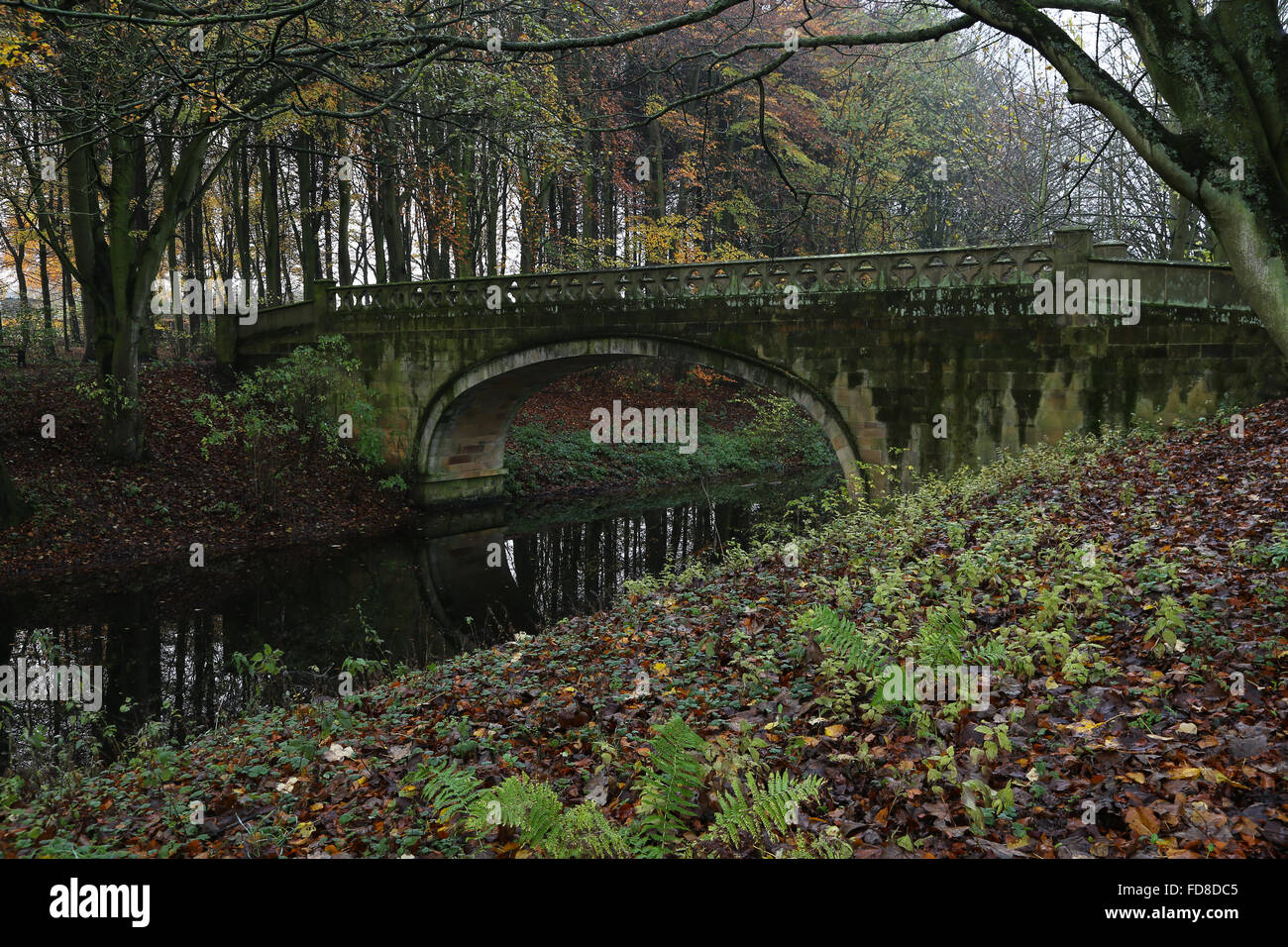 Arch Bridge Over River In Forest Stock Photo - Alamy