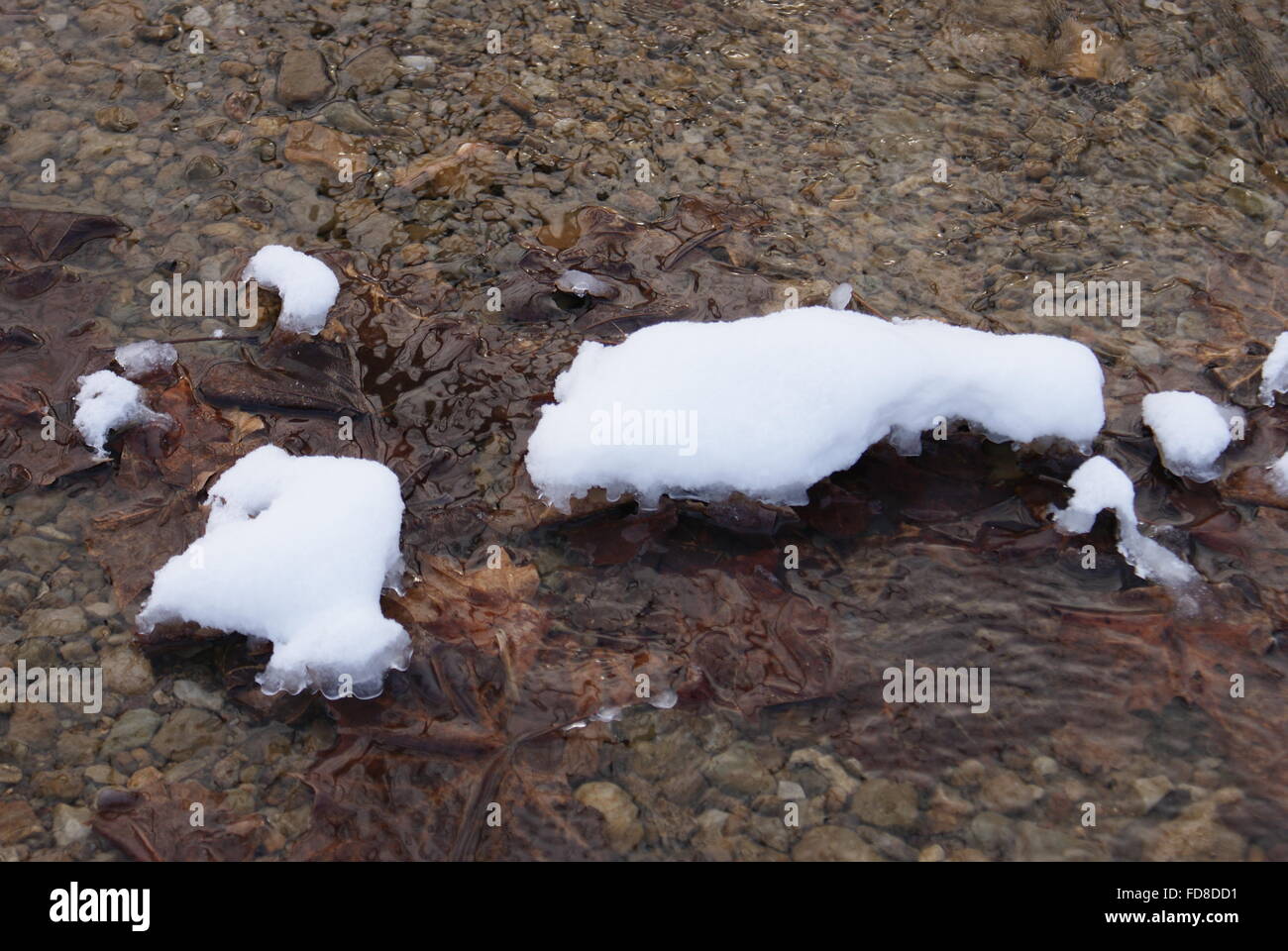 Rocky creek bed flowing with cold icy water with snow batches floating in the water. Stock Photo