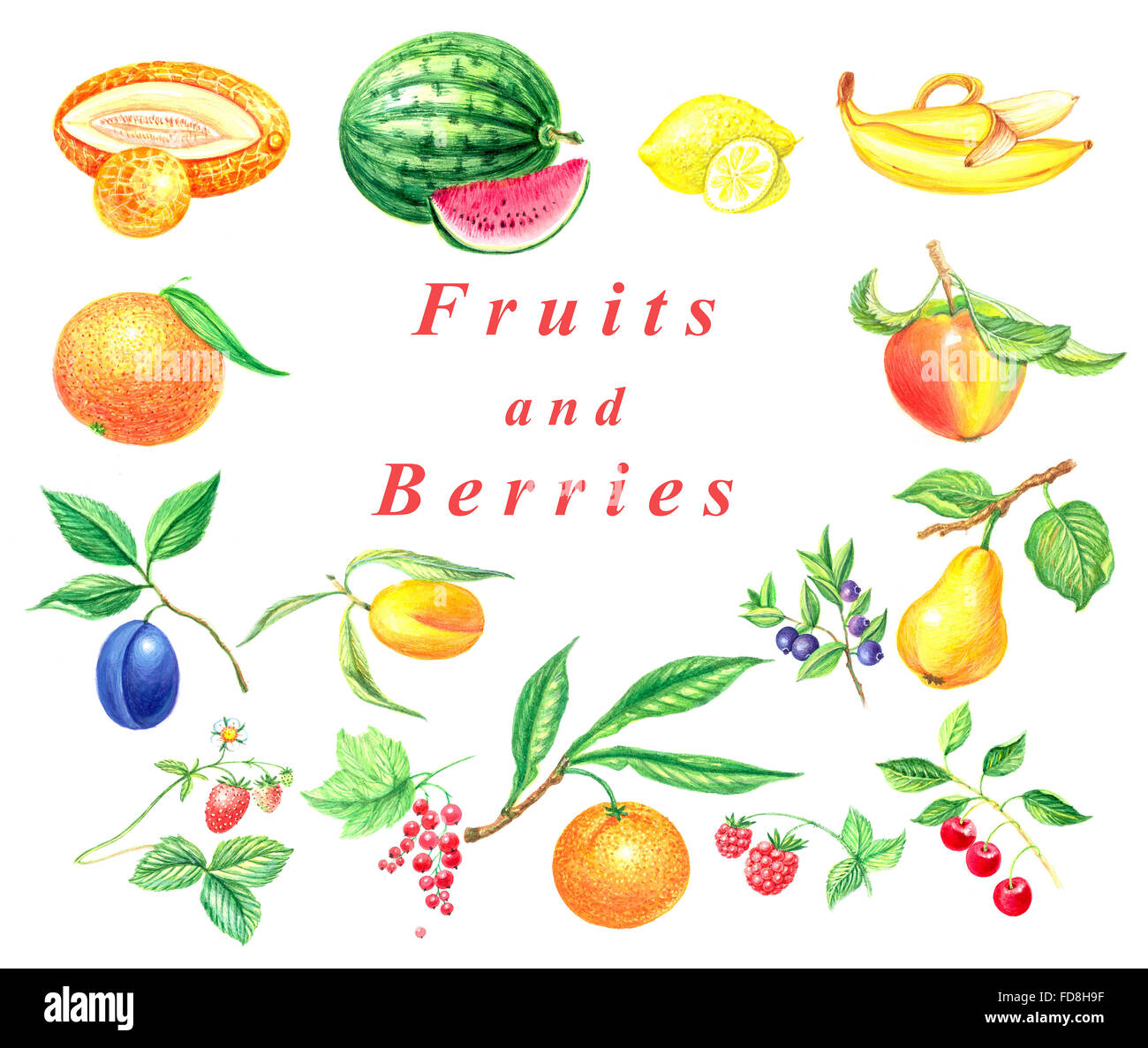 watercolor set fruits and berries isolated on a white background Stock ...