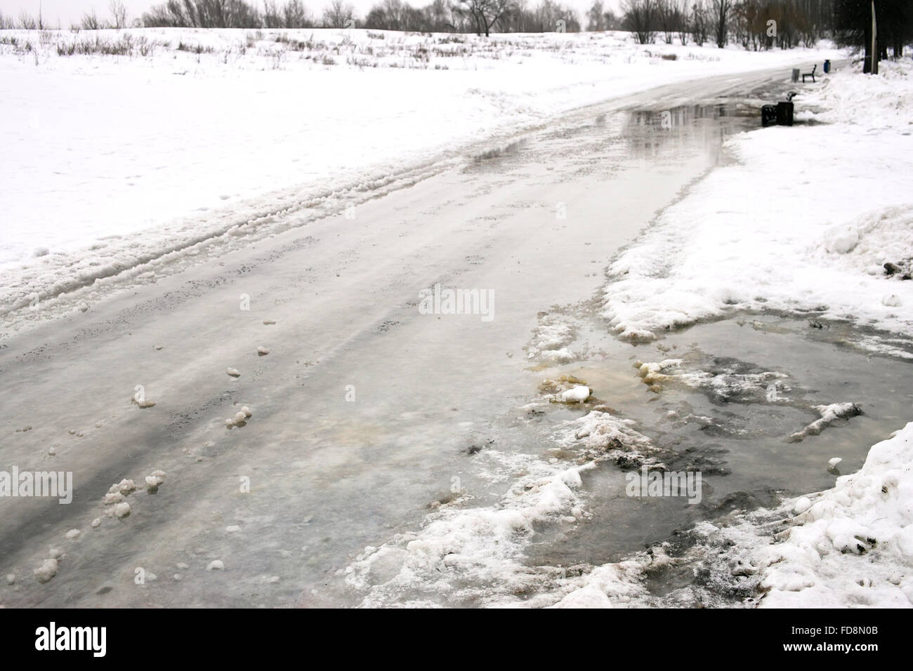 Bushes snow in foreground hi-res stock photography and images - Alamy