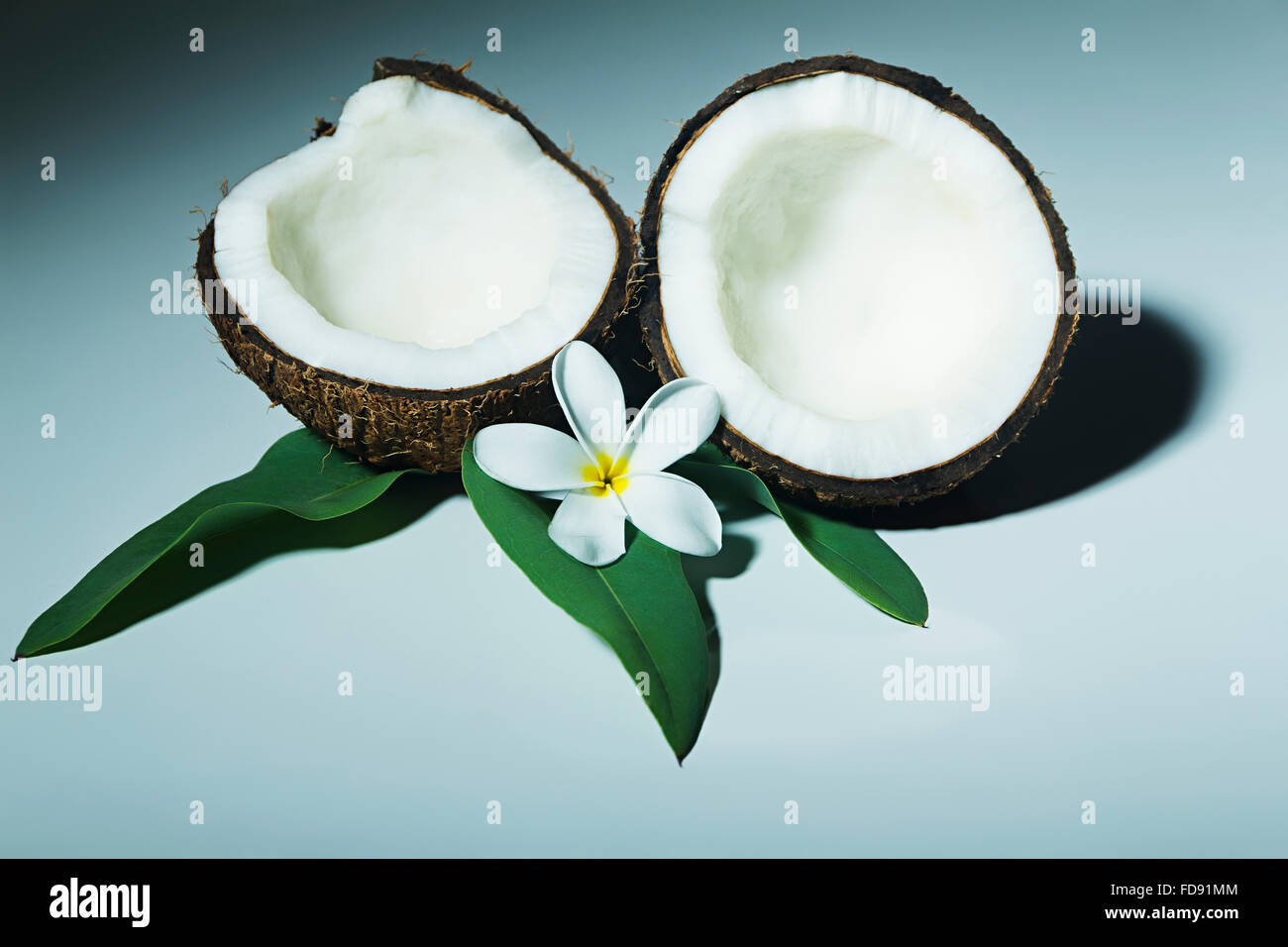 Coconut Fruits and leaf Flower Nobody Stock Photo Alamy