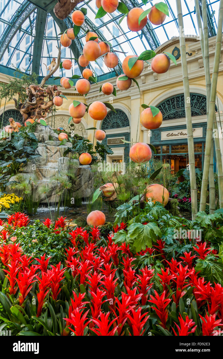 Garden and fountain with display of peaches in the greenhouse at the Bellagio. Las Vegas, Nevada, USA Stock Photo