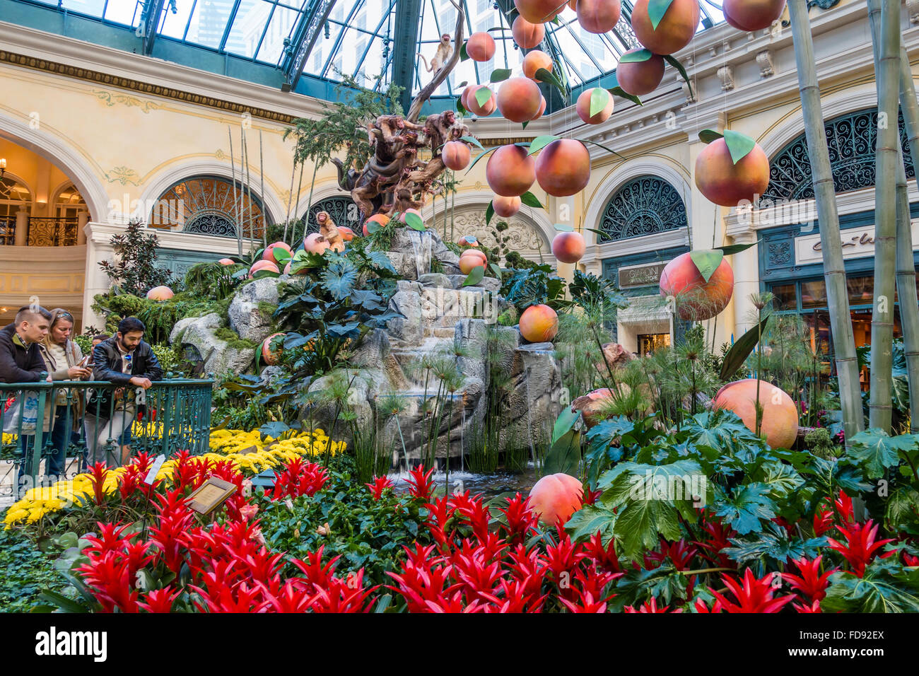 Flower displays in the greenhouse at the Bellagio casino and resort in Las Vegas, Nevada, USA