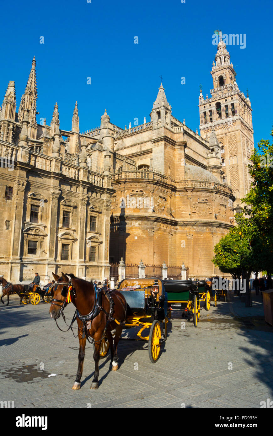 Horse drawn carriages, in front of the Cathedral, Sevilla, Andalucia, Spain Stock Photo