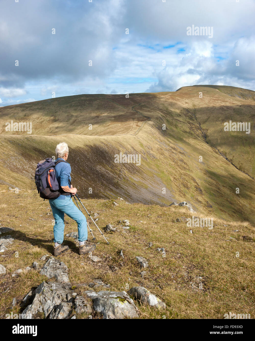 Walker looking to the Merrick, Glentrrool, Dumfries and Galloway, Scotland, UK Stock Photo