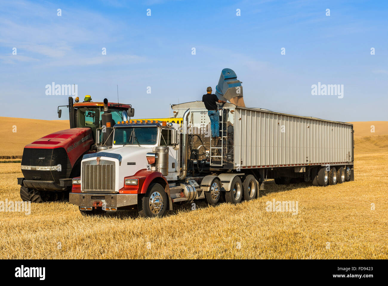 Grain cart unloading wheat into a grain truck in the Palouse Region of