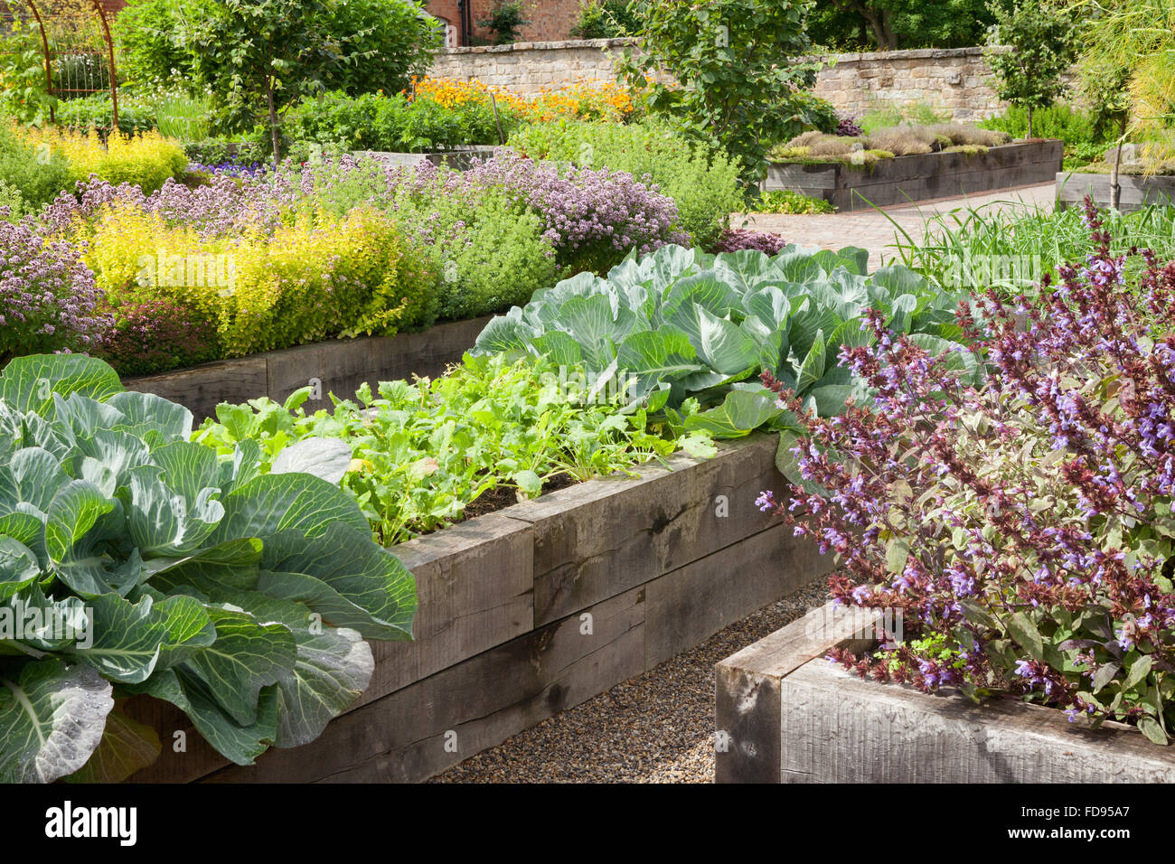 Raised beds made of Quercus robur English Oak. The Kitchen Garden at