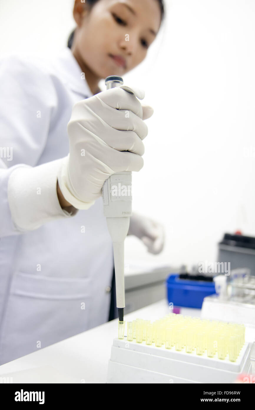 woman working with pipette for test blood in a laboratory in hospital ...