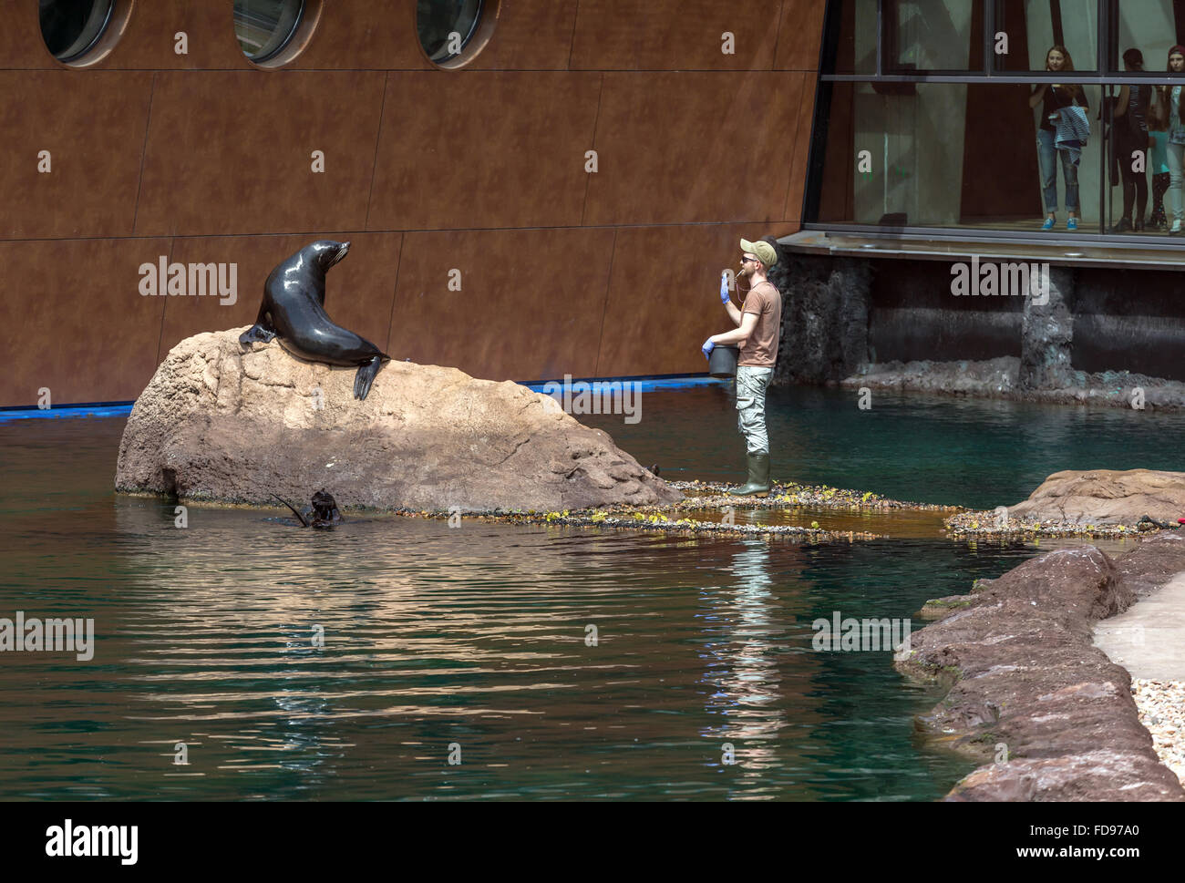 Zookeeper feeding animals hi-res stock photography and images - Alamy