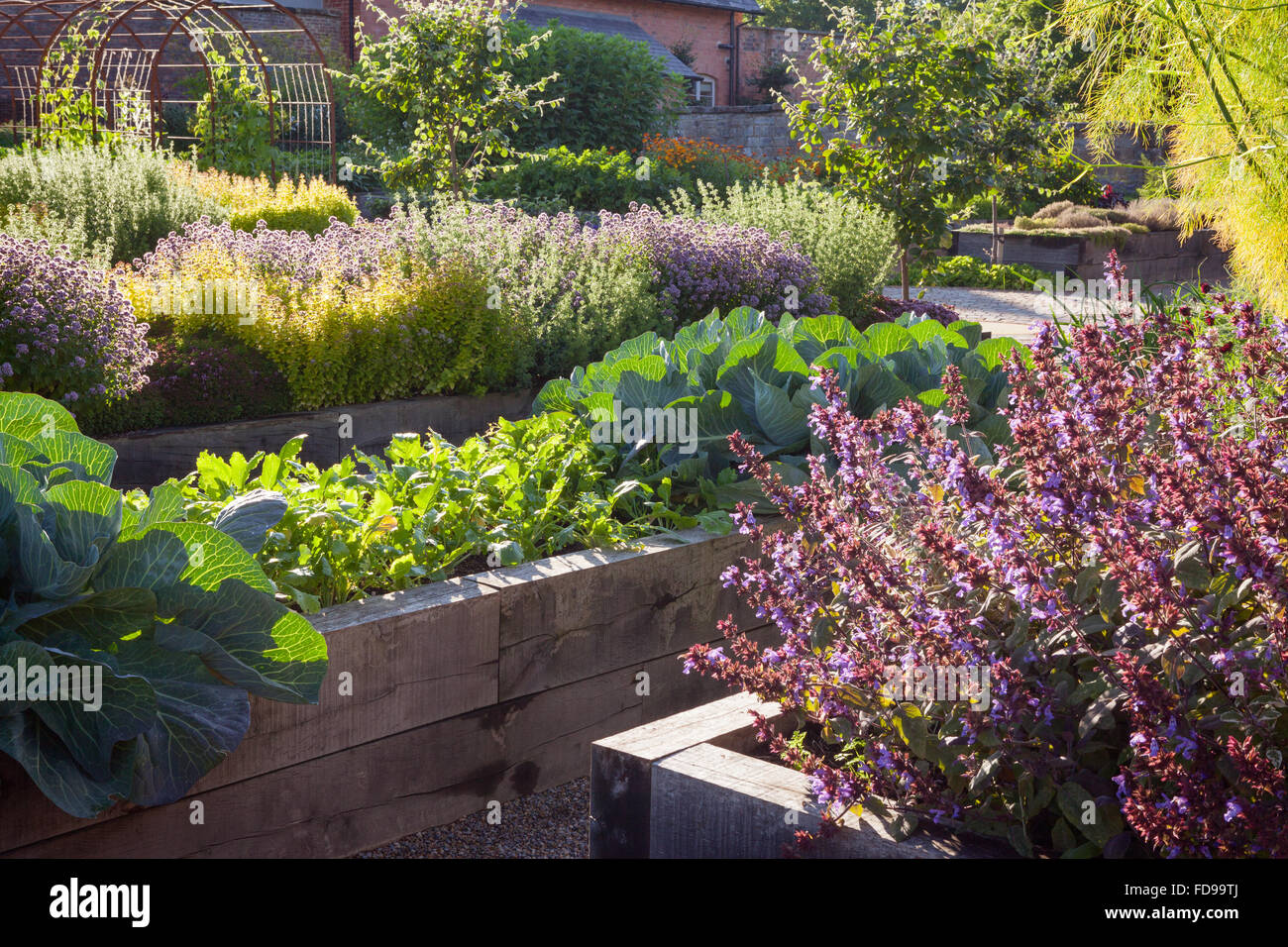 The Kitchen Garden at Rudding Park, North Yorkshire, UK. Summer, July 2015. Stock Photo