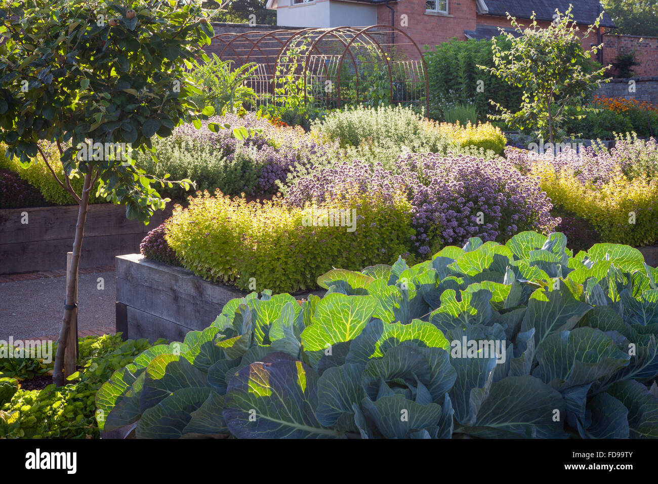 Kitchen garden bed hires stock photography and images Alamy