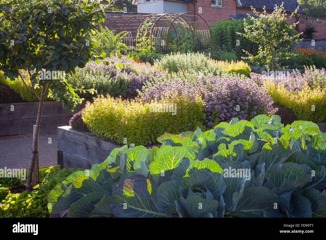 The Kitchen Garden at Rudding Park, North Yorkshire, UK. Summer, July 2015. Stock Photo