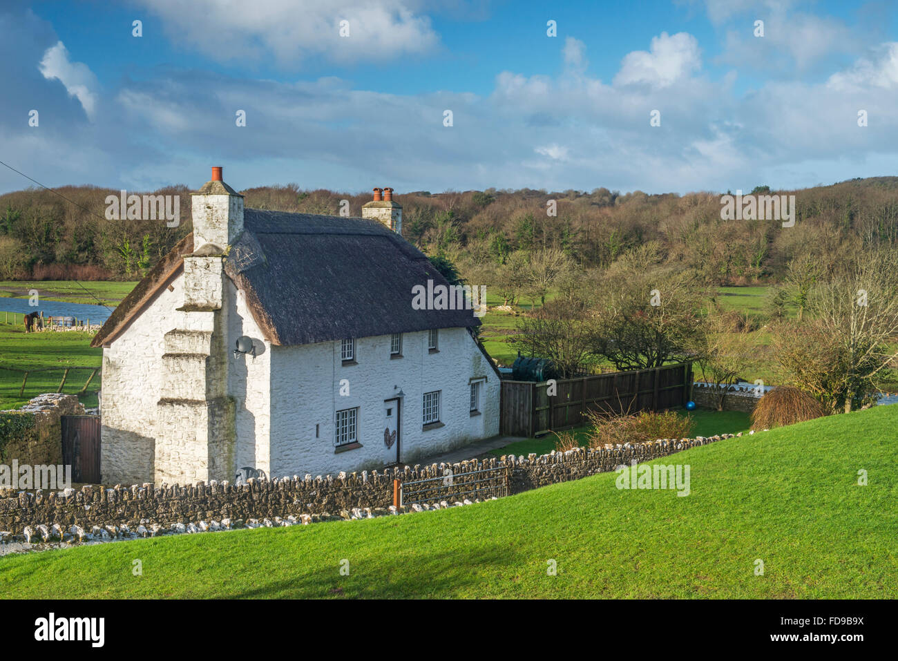 Old thatched cottage in the Vale of Glamorgan near Ogmore Castle, near the village of Ogmore by Sea in south Wales Stock Photo