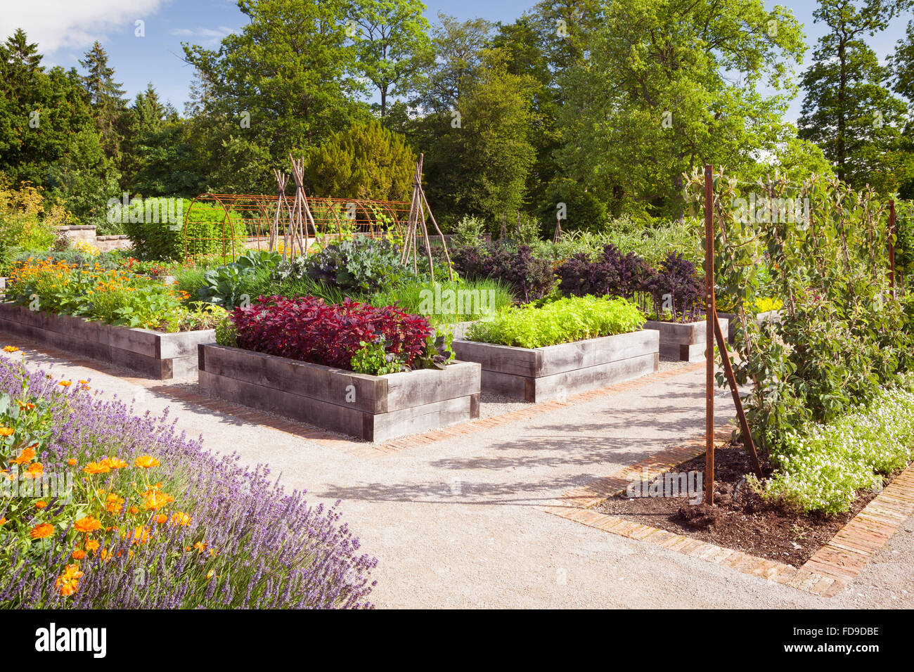 Raised beds made of Quercus robur English Oak. The Kitchen Garden at