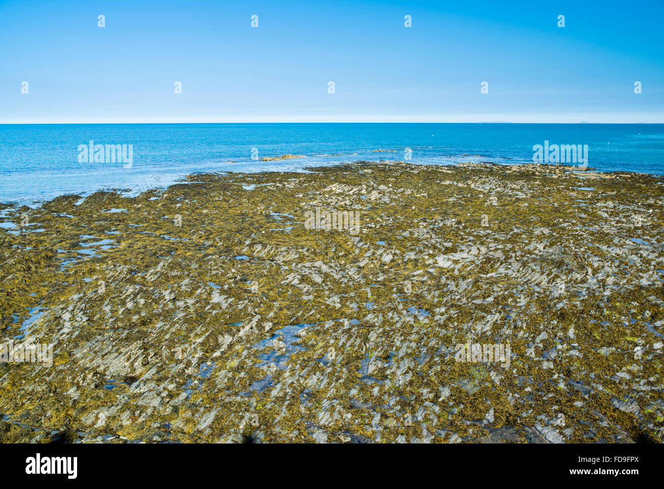 Rock pools at Aberystwyth resort Stock Photo Alamy