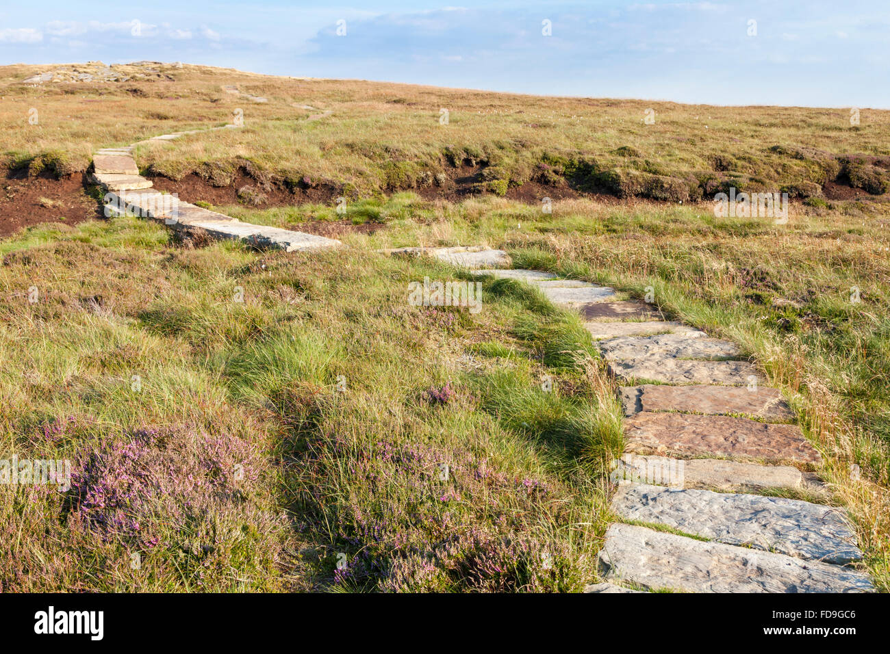 Paved path across moorland to protect the moor from erosion, Kinder Scout, Derbyshire, Peak District National Park, England, UK Stock Photo