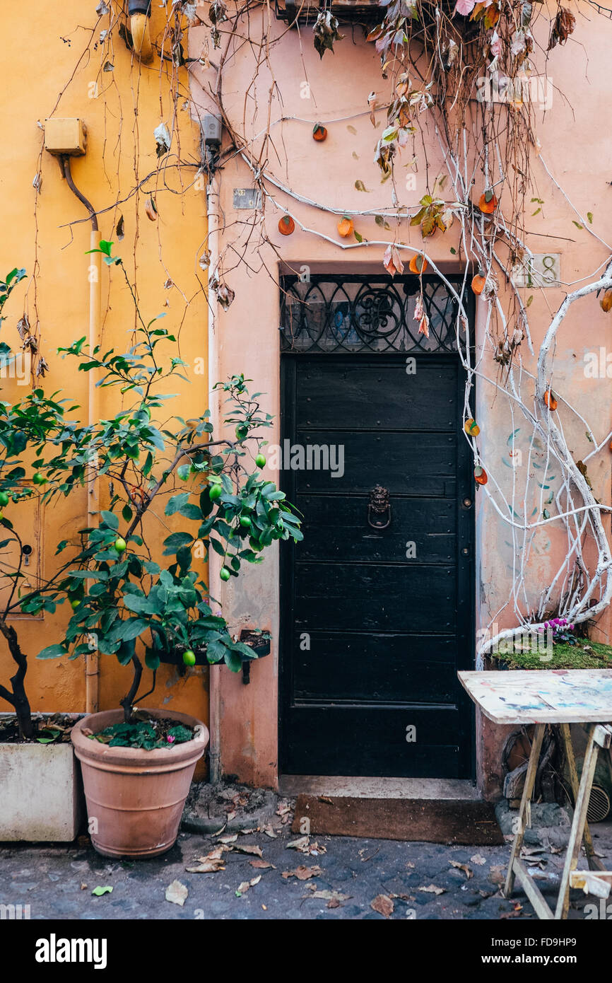A narrow door draped with vines and a lime tree in a charming street in Rome, Italy Stock Photo
