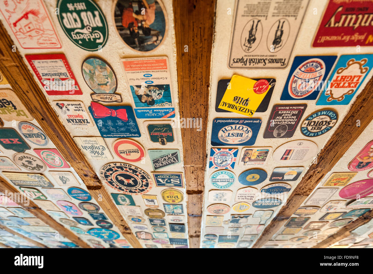 Beer mats decorating the ceiling of a traditional English pub - the Duke of Wellington in Willingham Cambridgehire UK Stock Photo